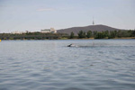 burleyswimmersmall.jpg