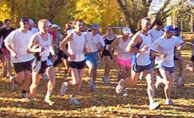 runnerz.jpg