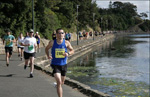 geelongforeshore2.jpg