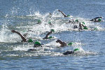 swimscene.jpg