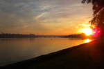 ironcove6small.jpg